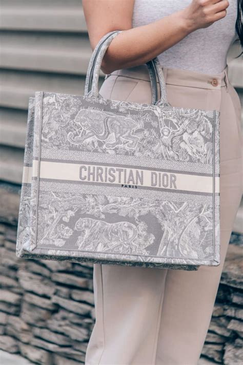 christian Dior Book Tote dupes